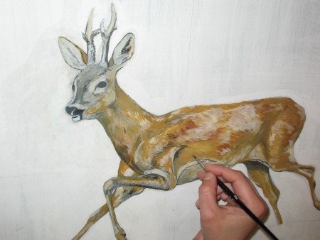 Studio di un capriolo